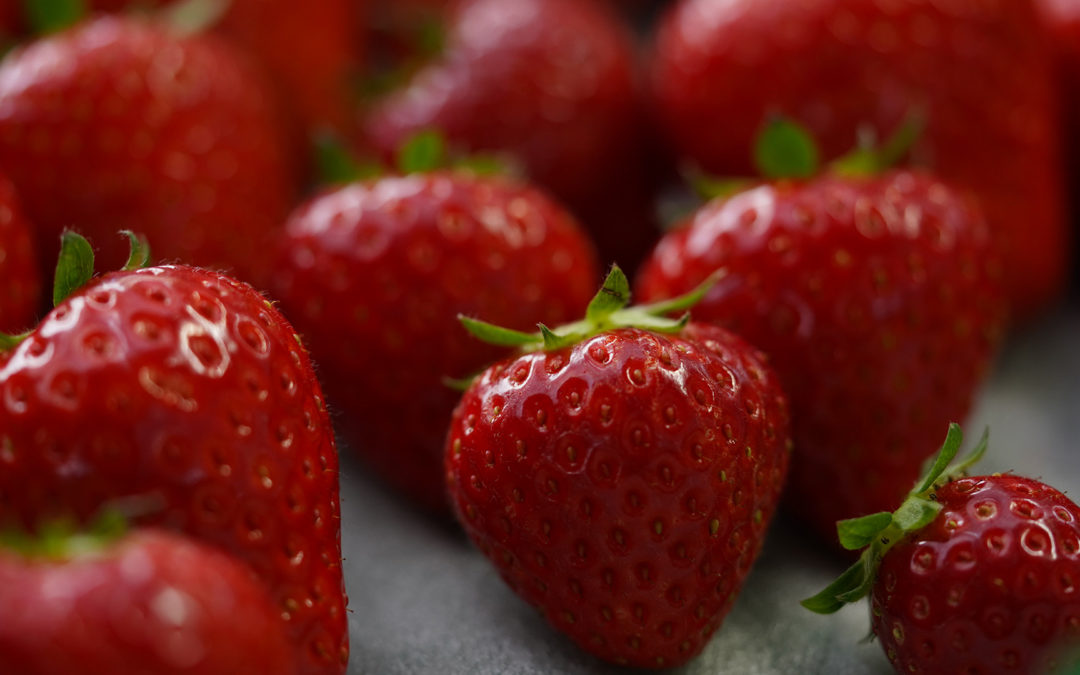 千葉県一宮町・九十九里のいちご農園「SEA-LIFE BERRY